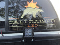 Toyota Truck Bed Rail LED Pod Brackets/Combo - Cali Raised LED