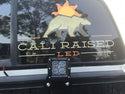Toyota Truck Bed Rail LED Pod Brackets/Combo - Cali Raised LED